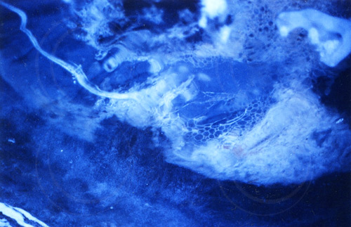 Ice 2
